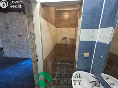 Pronájem bytu 1+1 Neratovice, Janáčkova č. 3