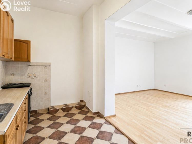 Pronájem bytu 1+1 Třebotov, Hlavní č. 3