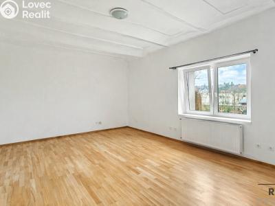 Pronájem bytu 1+1 Třebotov, Hlavní č. 2