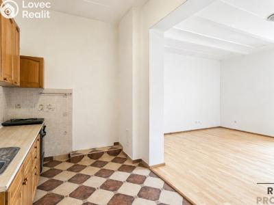 Pronájem bytu 1+1 Třebotov, Hlavní č. 3