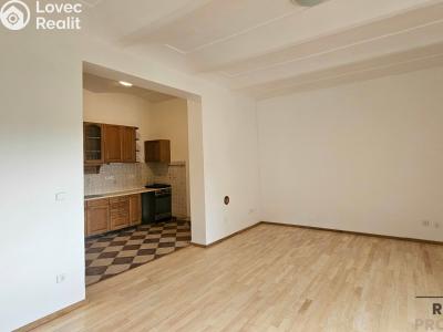 Pronájem bytu 1+1 Třebotov, Hlavní č. 4