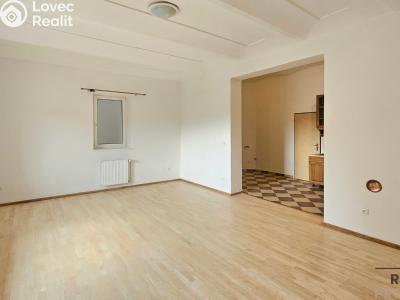 Pronájem bytu 1+1 Třebotov, Hlavní č. 5