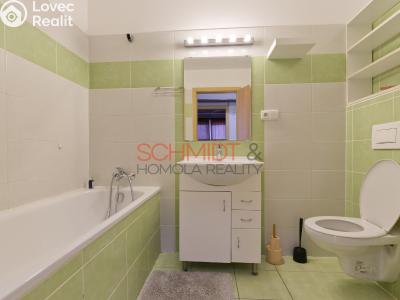 Pronájem bytu 2+KK Brno, Čeňka Růžičky č. 5