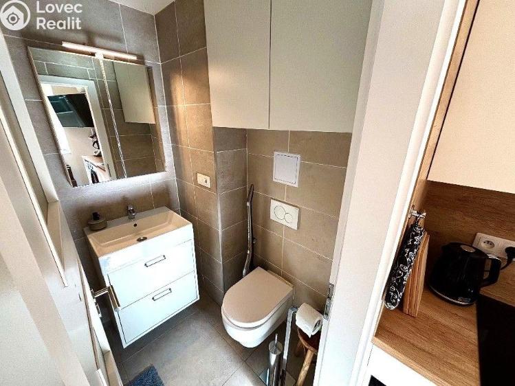 Rent apartment 1+KK Praha, Šimáčkova 908/17 č. 3