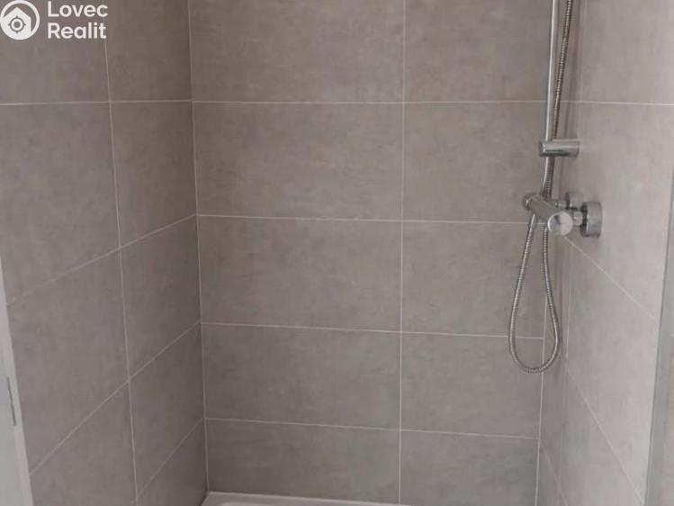 Rent apartment 1+KK Praha, Šimáčkova 908/17 č. 4