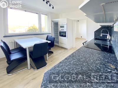 Аренда квартиры 3+1 Telč, Radkovská č. 4