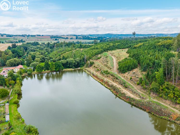Продажа семейного дома Nová Cerekev č. 33