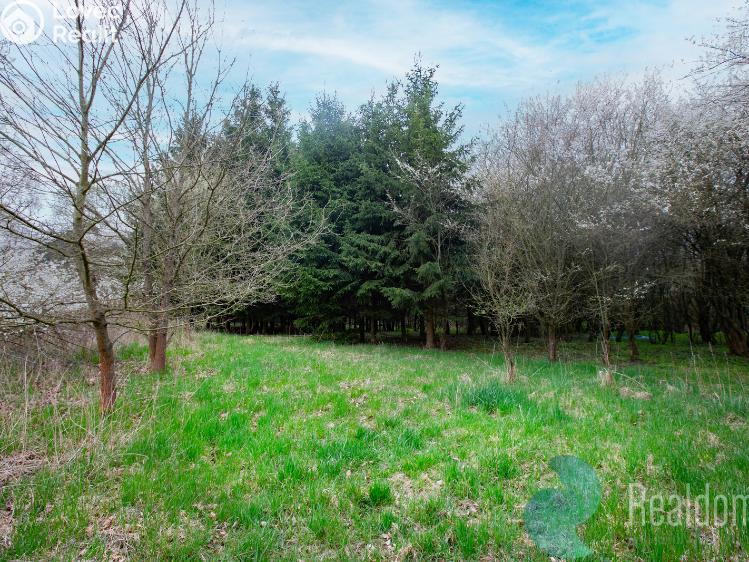 Продажа фермы Bečice č. 22