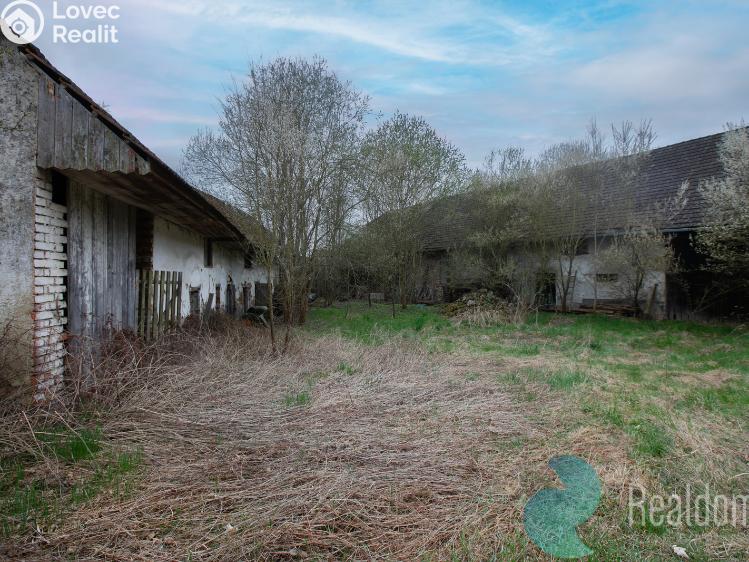Prodej zemědělské usedlosti Bečice č. 10