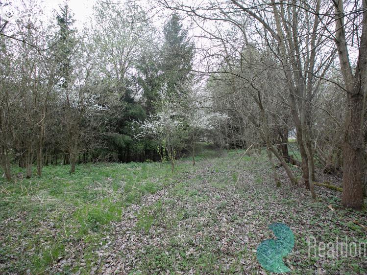 Prodej zemědělské usedlosti Bečice č. 21