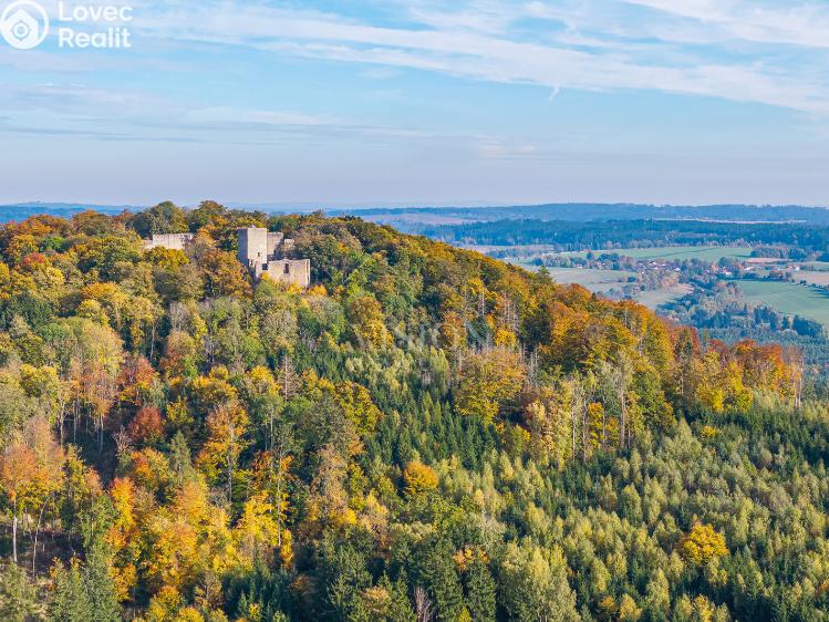 Продажа семейного дома Choustník č. 31