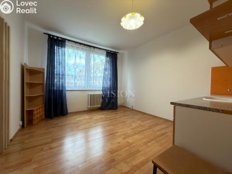 Rent apartment 1+1 Bechyně, Písecká č. 4