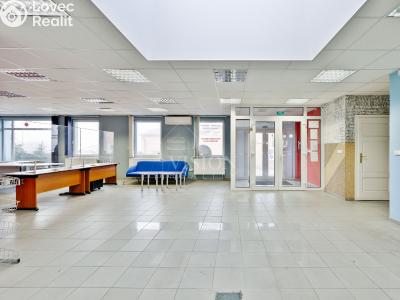 Prodej výrobní haly Planá nad Lužnicí, Chýnovská č. 3