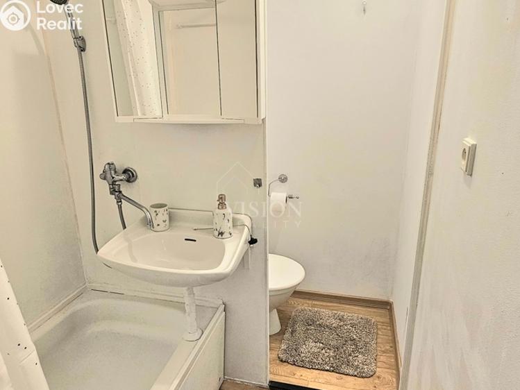 Оренда квартири 1+1 Milevsko, Pod Stadionem č. 6