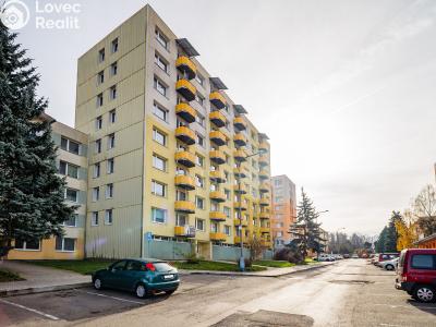 Оренда квартири 1+1 Milevsko, Pod Stadionem č. 5