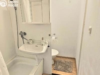 Оренда квартири 1+1 Milevsko, Pod Stadionem č. 6