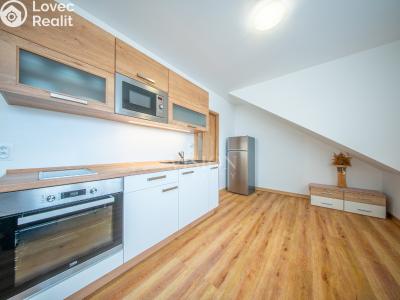 Продажа квартиры 3+KK Černá v Pošumaví č. 4