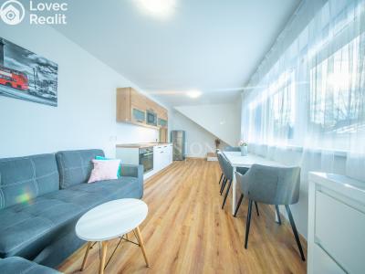 Продажа квартиры 3+KK Černá v Pošumaví č. 6