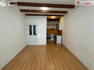 Pronájem bytu 1+KK Kolín, Karlova č. 2