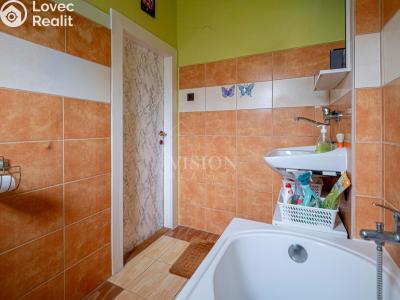 Продажа семейного дома Sušice, Jana Jáši č. 14