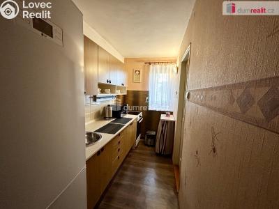 Rent apartment 3+KK Zruč nad Sázavou, Na Výsluní č. 10