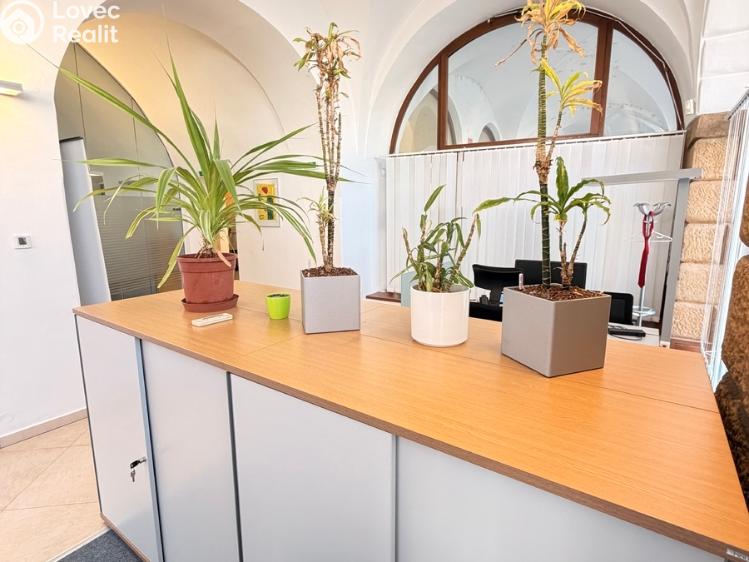 Rent office space Olomouc, Dolní náměstí č. 17