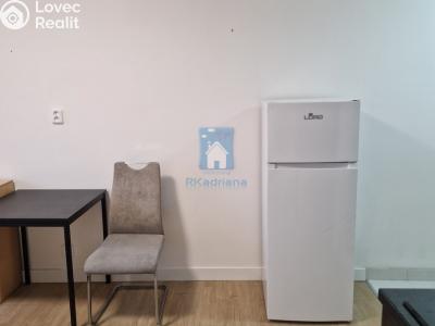 Rent apartment 1+KK Praha, Vrážská č. 4