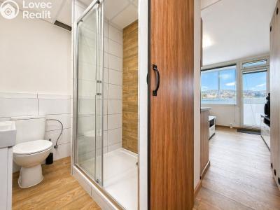 Pronájem bytu 1+KK Chomutov, Seifertova č. 5