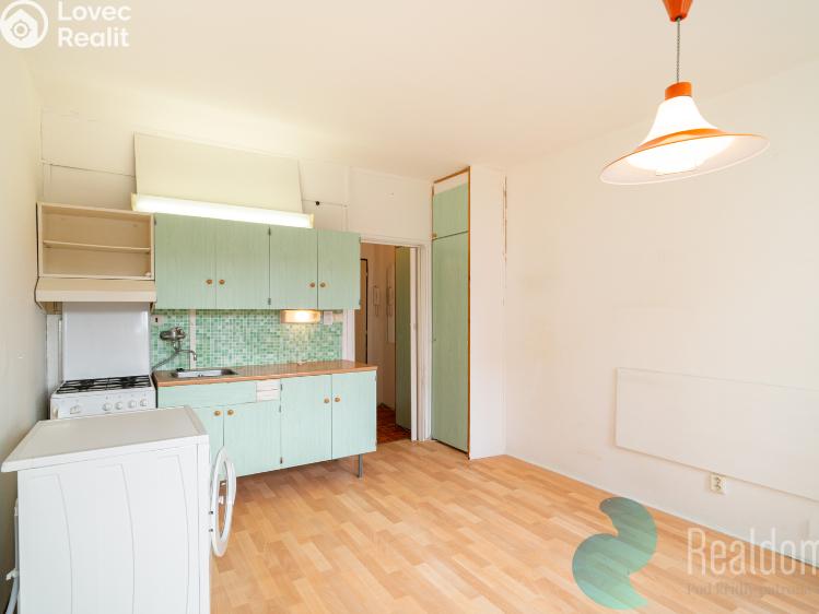 Prodej bytu 1+1 České Budějovice, Větrná 859/52 č. 3