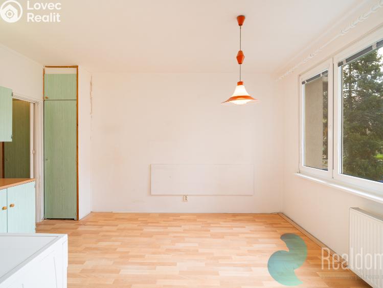 Prodej bytu 1+1 České Budějovice, Větrná 859/52 č. 4