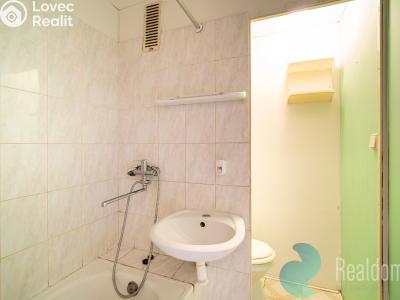 Продажа квартиры 1+1 České Budějovice, Větrná č. 7