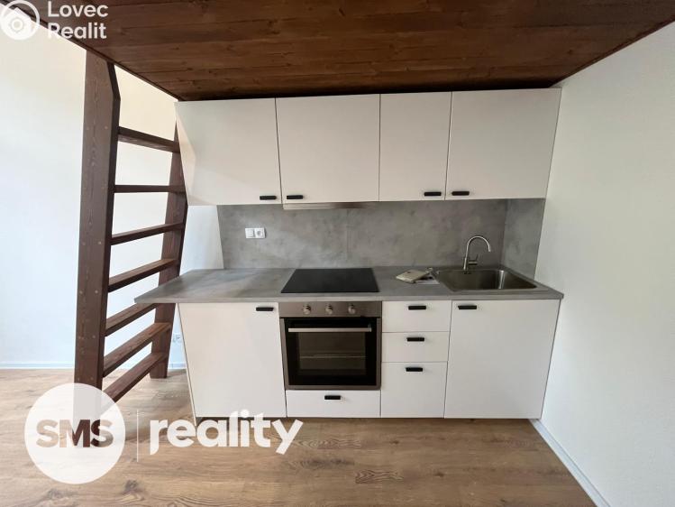 Rent apartment 1+KK Ostrava, Palackého 918/70 č. 3