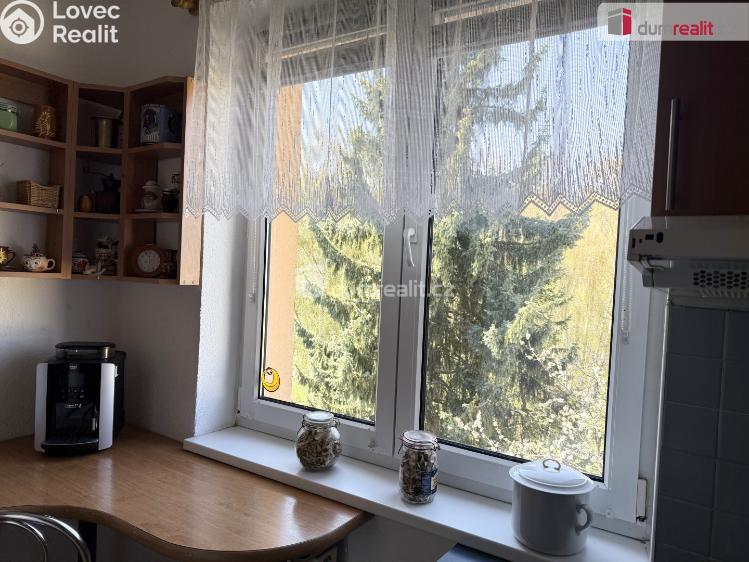 Prodej bytu 3+1 Frenštát pod Radhoštěm, Školská čtvrť č. 10