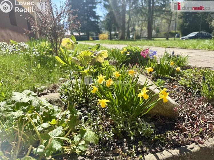 Prodej bytu 3+1 Frenštát pod Radhoštěm, Školská čtvrť č. 23