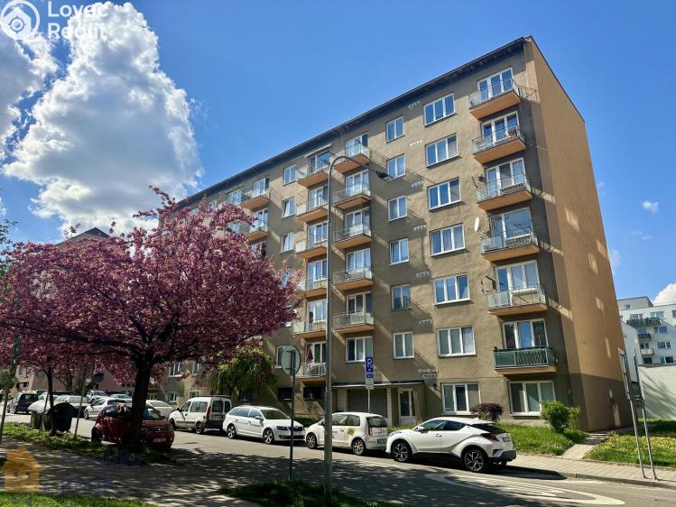 Pronájem bytu 3+1 Brno, Svatopluka Čecha 2672/100 č. 14