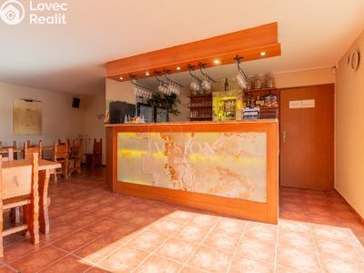 Sale hotel Blažejov č. 13