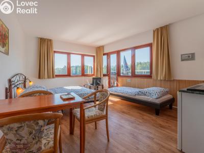 Sale hotel Blažejov č. 20