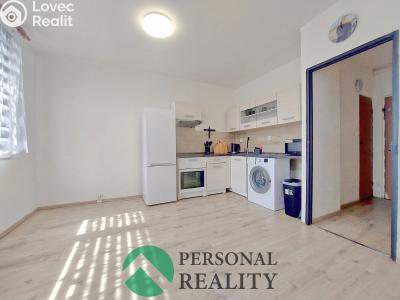 Pronájem bytu 2+KK Lovosice, Kmochova č. 3