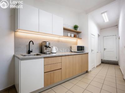 Аренда офисного помещения Tábor, Bílkova č. 6