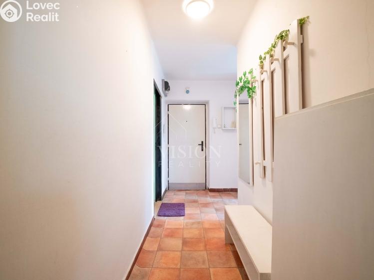 Pronájem bytu 2+1 Tábor, Nedbalova č. 12