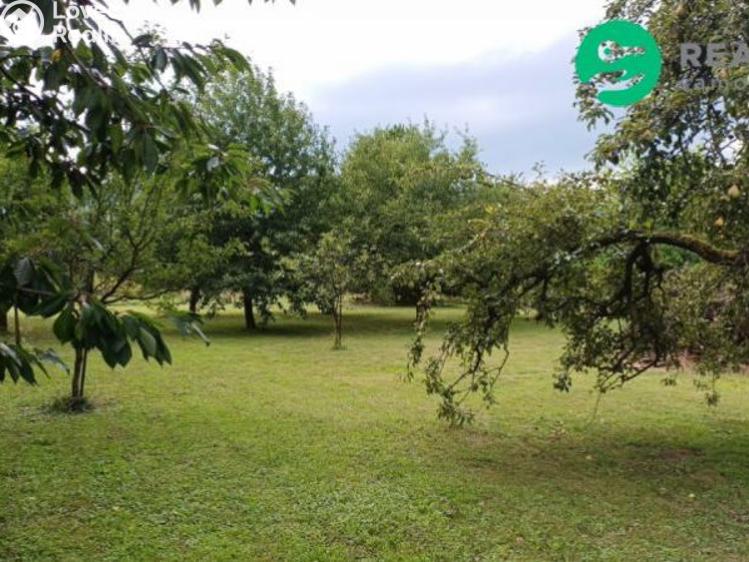 Prodej rodinného domu Doudleby nad Orlicí, Fűgnerova č. 14