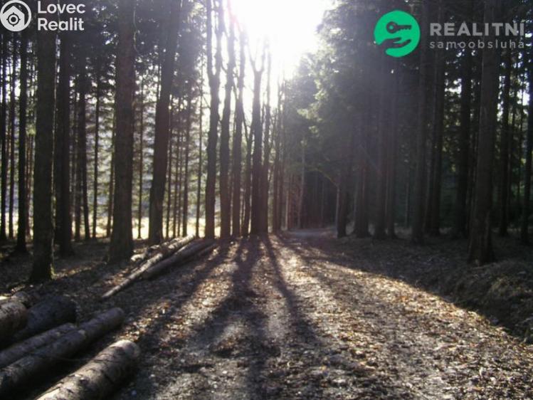 Продаж готелі Čaková, lfdlkdsa č. 15