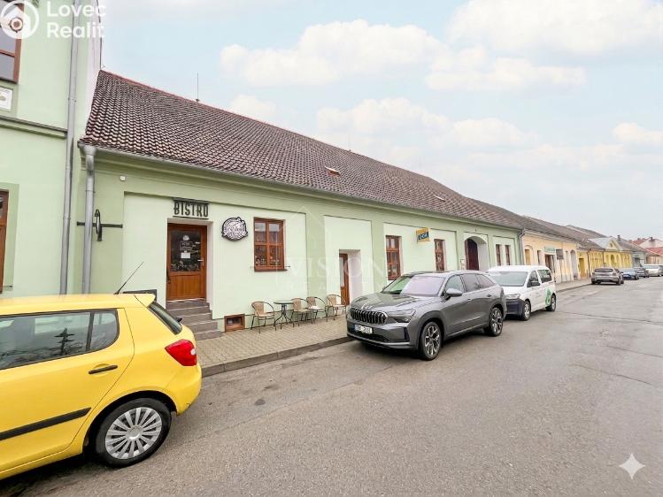 Rent commercial space Stráž nad Nežárkou, náměstí Emy Destinnové č. 1