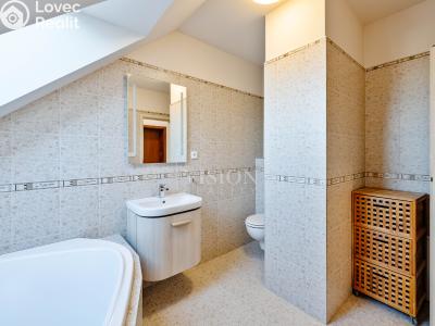 Sale apartment 4+KK Planá nad Lužnicí, Okružní č. 5