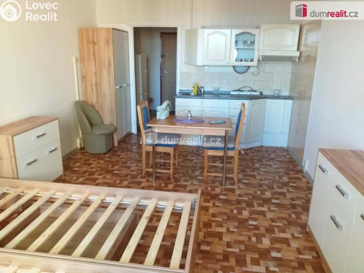 Pronájem bytu 1+KK České Budějovice, Labská č. 1