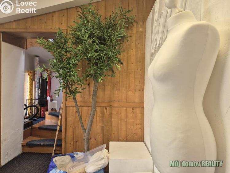 Pronájem skladového prostoru Praha, Beranových č. 6