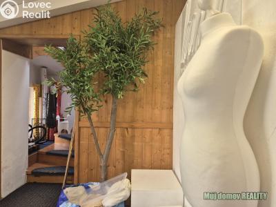 Pronájem skladového prostoru Praha, Beranových č. 6