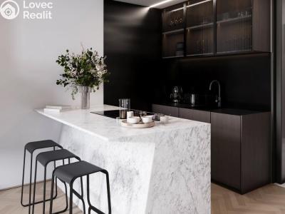 Продажа квартиры 3+KK Praha, Heřmanova č. 5