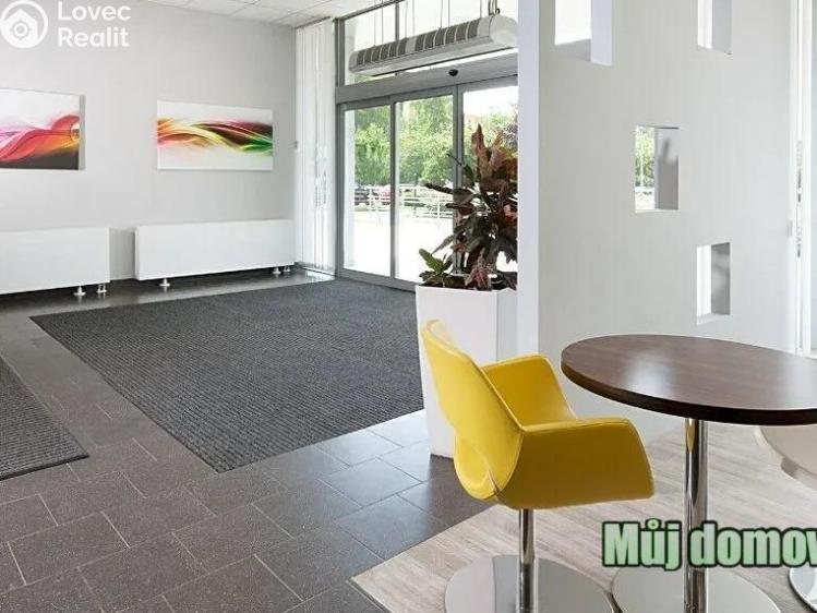 Pronájem obchodního prostoru Praha, V olšinách č. 3