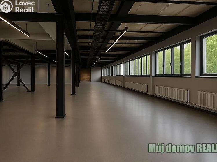 Pronájem obchodního prostoru Praha, V olšinách č. 6